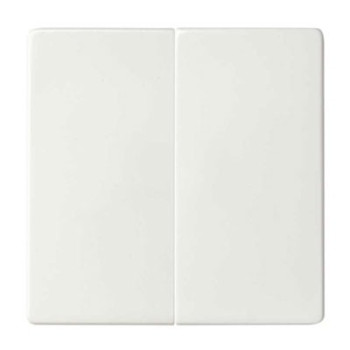 Tecla doble para mecanismos blanco SIMON 8200026-090