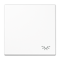 Tecla c/simb luz LS blanco alpino  JUNG JUNLS990LWW