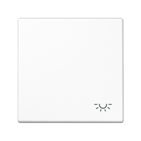 Tecla c/simb luz LS blanco alpino  JUNG JUNLS990LWW