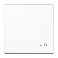 Tecla c/simb puerta LS blanco alpino  JUNG JUNLS990TWW