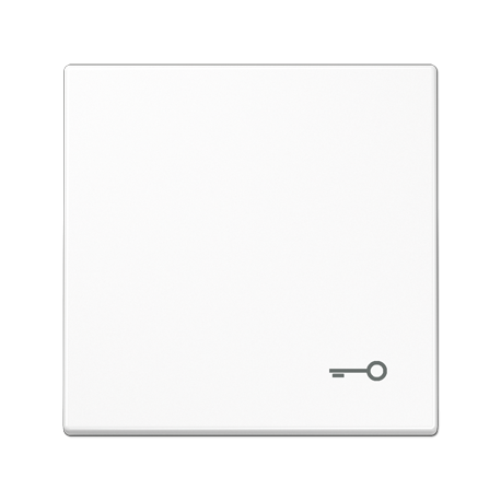Tecla c/simb puerta LS blanco alpino  JUNG JUNLS990TWW