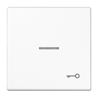 Tecla c/visor simb puerta LS bl alpi  JUNG JUNLS990KO5TWW