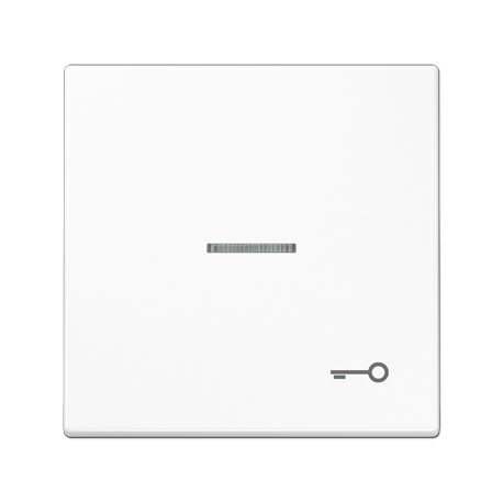 Tecla c/visor simb puerta LS bl alpi  JUNG JUNLS990KO5TWW