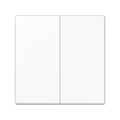 Tecla doble LS blanco alpino  JUNG JUNLS995WW