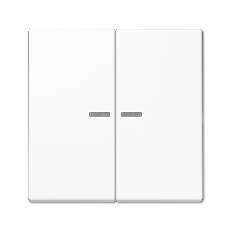 Tecla doble c/visor LS blanco alpino  JUNG JUNLS995KO5WW