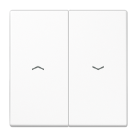 Tecla doble pers LS blanco alpino  JUNG JUNLS995PWW