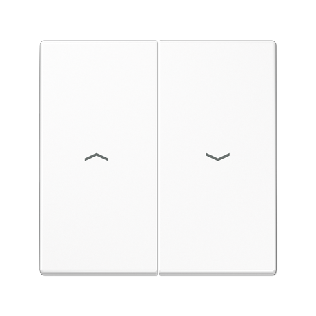 Tecla doble pers LS blanco alpino  JUNG JUNLS995PWW