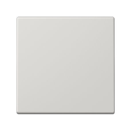 Tecla simple LS gris claro  JUNG JUNLS990LG