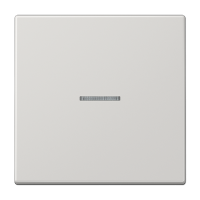 Tecla simple c/visor LS gris claro  JUNG JUNLS990KO5LG