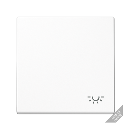 Tecla c/simb luz LS gris claro  JUNG JUNLS990LLG