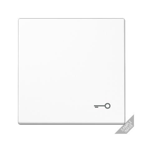 Tecla c/simb puerta LS gris claro  JUNG JUNLS990TLG