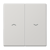 Tecla doble pers LS gris claro  JUNG JUNLS995PLG