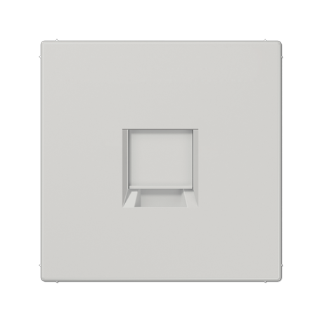 Placa Mod Jack 1 toma LS gris cl  JUNG JUNLS1969-15WELG