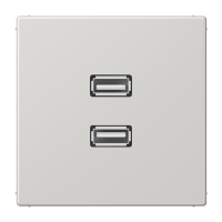 Placa USB 20 2 tomas LS gris claro  JUNG JUNMALS1153LG