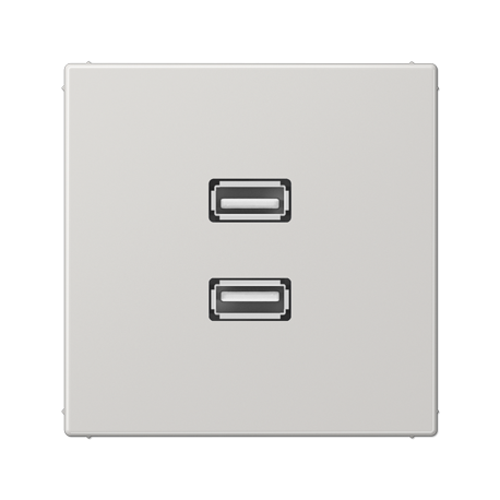 Placa USB 20 2 tomas LS gris claro  JUNG JUNMALS1153LG