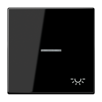 Tecla c/visor/simb luz LS negro  JUNG JUNLS990KO5LSW