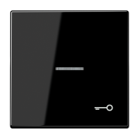 Tecla c/visor simb puerta LS negro  JUNG JUNLS990KO5TSW