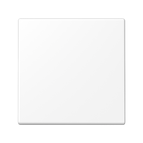 Tecla simple LS blanco mate  JUNG JUNLS990WWM