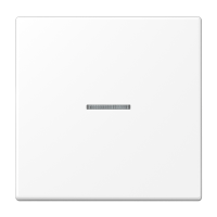 Tecla simple c/ visor LS bl mate  JUNG JUNLS990KO5WWM