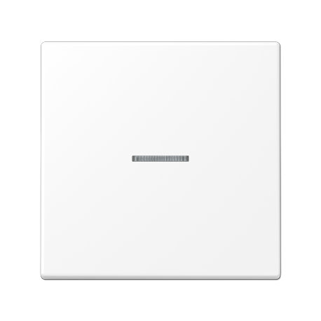 Tecla simple c/ visor LS bl mate  JUNG JUNLS990KO5WWM