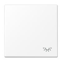 Tecla c/simb luz LS blanco mate  JUNG JUNLS990LWWM