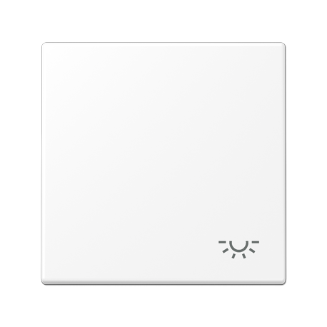 Tecla c/simb luz LS blanco mate  JUNG JUNLS990LWWM