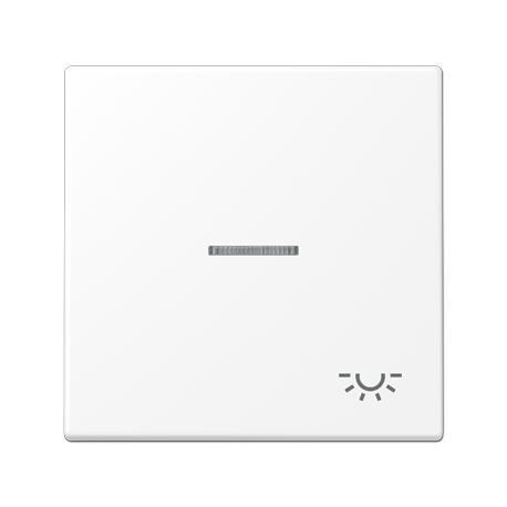 Tecla c/visor/simb luz LS bl Mate  JUNG JUNLS990KO5LWWM