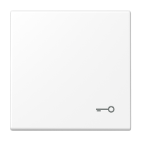 Tecla c/simb puerta LS blanco mate  JUNG JUNLS990TWWM