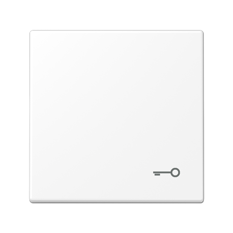 Tecla c/simb puerta LS blanco mate  JUNG JUNLS990TWWM