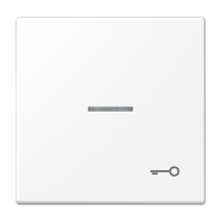 Tecla c/visor simb puerta LS bl Mate  JUNG JUNLS990KO5TWWM