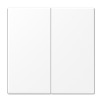 Tecla doble  LS blanco mate  JUNG JUNLS995WWM