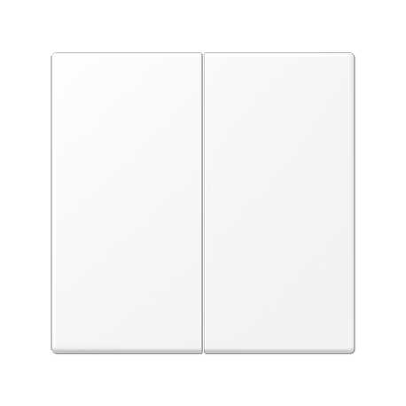 Tecla doble  LS blanco mate  JUNG JUNLS995WWM