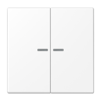 Tecla doble c/ visor LS blanco mate  JUNG JUNLS995KO5WWM