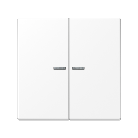 Tecla doble c/ visor LS blanco mate  JUNG JUNLS995KO5WWM