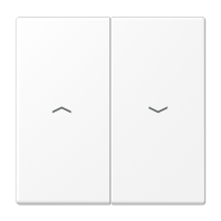 Tecla doble pers LS blanco mate  JUNG JUNLS995PWWM