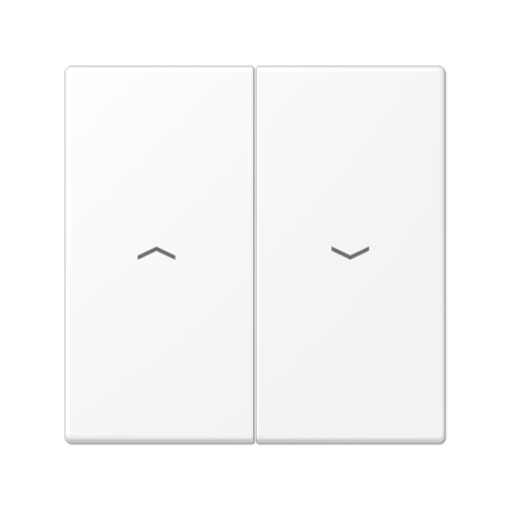 Tecla doble pers LS blanco mate  JUNG JUNLS995PWWM