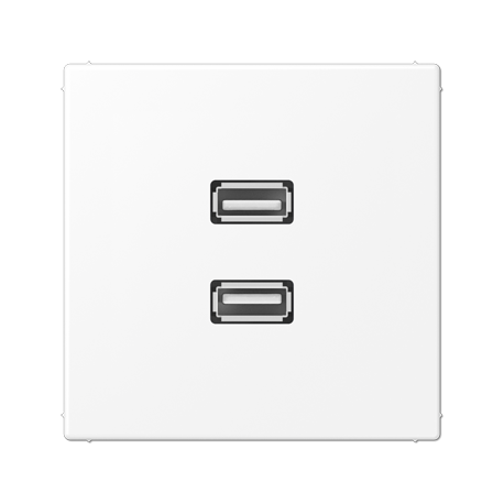 Placa USB 20 2 tomas LS blanco mate  JUNG JUNMALS1153WWM