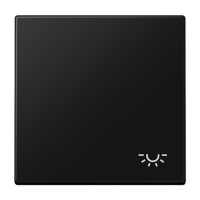 Tecla c/simb luz LS negro mate  JUNG JUNLS990LSWM