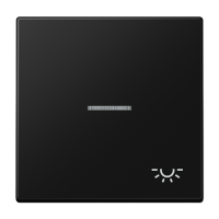 Tecla c/visor/simb luz LS negro mate  JUNG JUNLS990KO5LSWM