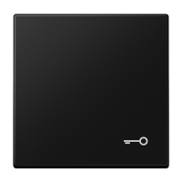 Tecla c/simb puerta LS negro mate  JUNG JUNLS990TSWM