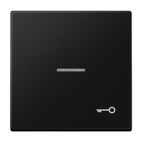 Tecla c/visor simb puerta LS negro mate JUNG JUNLS990KO5TSWM