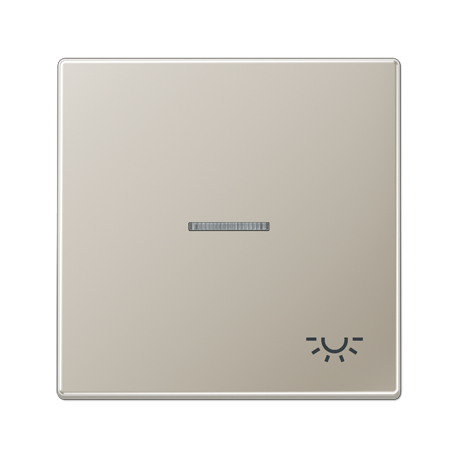 Tecla simple visor/simb luz LS acero  JUNG JUNES2990KO5L