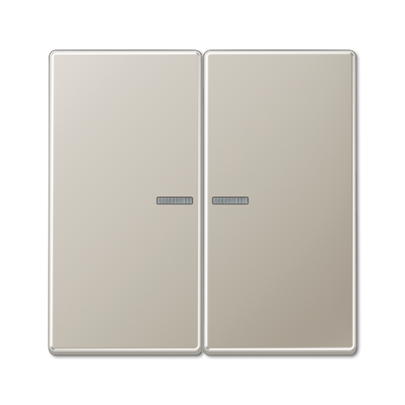 Tecla doble c/visor LS acero  JUNG JUNES2995KO5