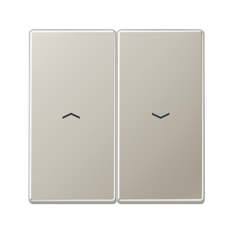 Tecla doble pers LS  acero  JUNG JUNES2995P