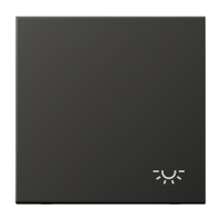 Tecla c/ simb luz LS antracita  JUNG JUNAL2990LAN