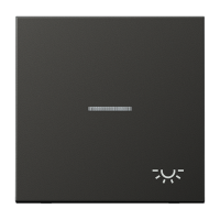 Tecla c/visor y simb Luz LS antracita  JUNG JUNAL2990KO5LAN