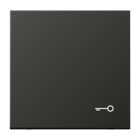 Tecla c/simb puerta LS antracita  JUNG JUNAL2990TAN