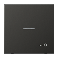 Tecla c/visor y simb puerta LS antra  JUNG JUNAL2990KO5TAN