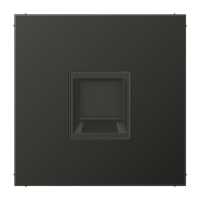 Placa ModJack 1 toma inscr LS antra  JUNG JUNAL1969-15WEAN