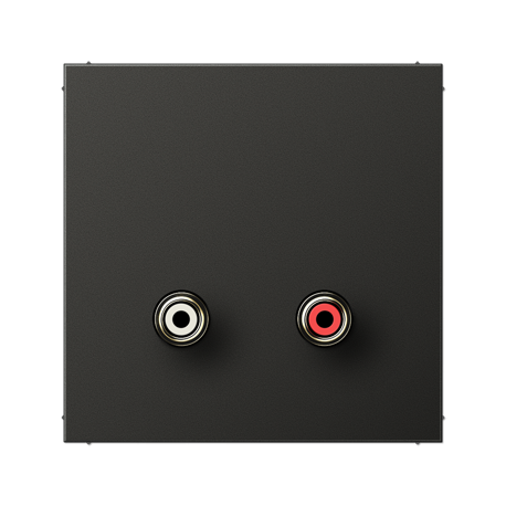 Placa Cinch audio LS antracita JUNG JUNMAAL1021AN